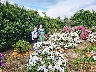 2024-05-19 Kristian Theqvist and Matthias Riedel at Seidel collection_1024px Matthias Riedel guides Kristian Theqvist among the Seidel rhododendrons