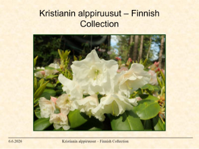Kristianin alppiruusut – Finnish Collection