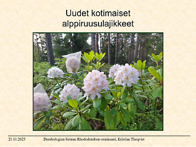 New Finnish Rhododendron Cultivars